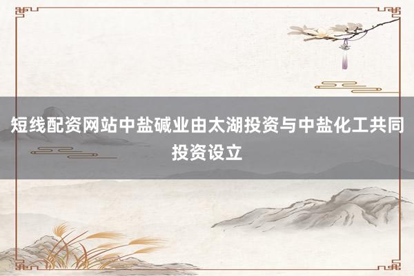 短线配资网站中盐碱业由太湖投资与中盐化工共同投资设立