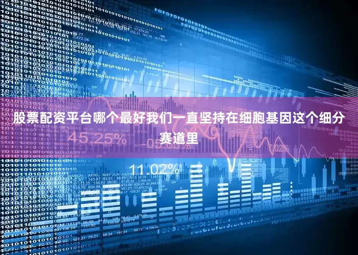 股票配资平台哪个最好我们一直坚持在细胞基因这个细分赛道里