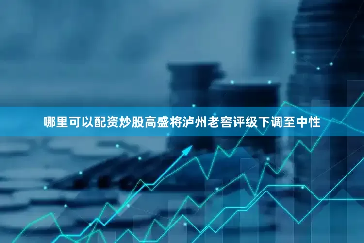 哪里可以配资炒股高盛将泸州老窖评级下调至中性