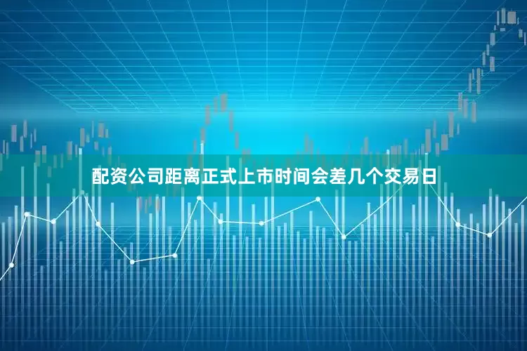 配资公司距离正式上市时间会差几个交易日