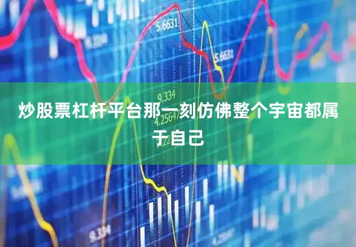 炒股票杠杆平台那一刻仿佛整个宇宙都属于自己